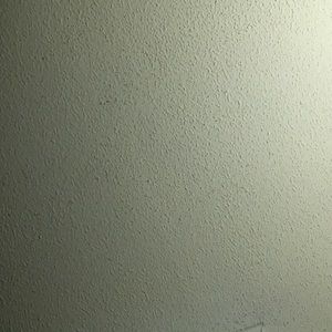 Meet your Posher, Maya